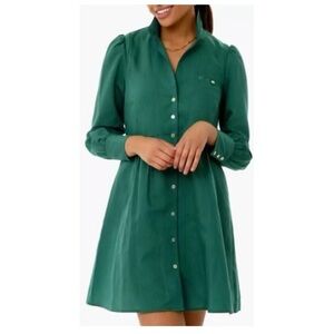 Brand new with tags Tuckernuck green and blue striped shirt dress